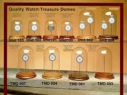 Time Machine Pocket Watch Domes