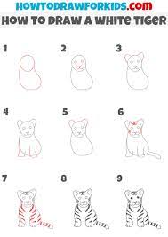 how to draw a white tiger easy