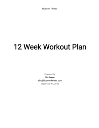 57 Sample Workout Plan Templates In