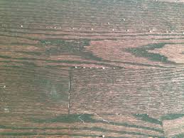 mr floor wood floor cleaner