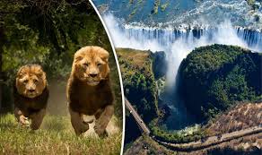 Resultado de imagen de zimbabwe