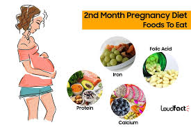 2nd Month Pregnancy Diet Which Foods To Eat Avoid