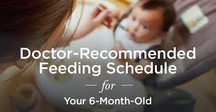6 month old feeding schedule a doctor