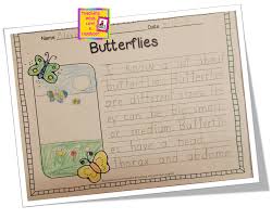   Steps to Writing The house on mango street essay honeysweet us The Teacher Edition of the LitChart on In the Time of the Butterflies     