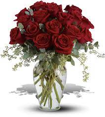 premium red roses union nj florist
