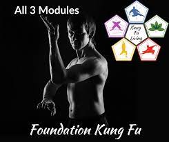kung fu training for beginners at home