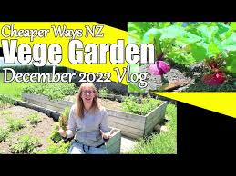 Vegetable Garden Vlog December 2022