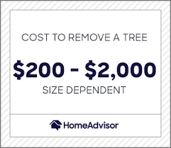 The closest one to you is cross road lawn care, which is located at 11 farmington dr, jackson tn 38305. 2021 Cost Of Tree Removal Price To Cut Down A Tree Near You Homeadvisor
