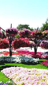 flower garden flowers trees colorful