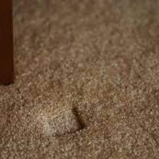 fix furniture dents in your carpet