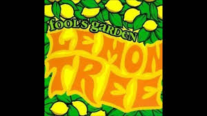 fool s garden lemon tree good