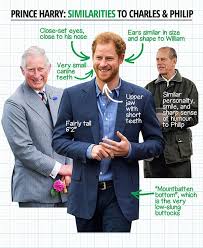 We did not find results for: Prince Harry Not James Hewitt S Sonand This Proves It Daily Star