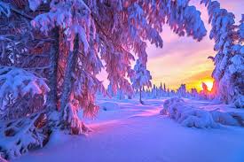 2 amazing winter paintings - 2 csodálatos téli tájkép - Megaport Media