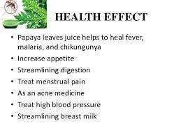 Image result for papaya leaves juice