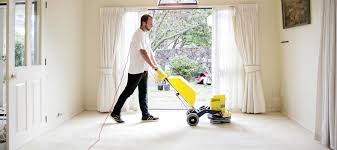 the best carpet clean eco carpet clean