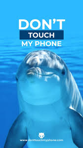 Customize and personalise your desktop, mobile phone and tablet with these free wallpapers! Wallpaper Don T Touch My Phone Cute Animals Dont Touch My Phone