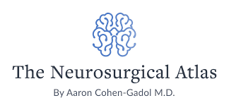 The history and definition of neurosurgery - NeurosurgeryMatch.org
