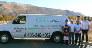 proclean services carpet cleaning in