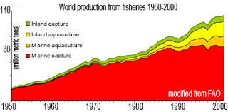 How To Save The Worlds Oceans From Overfishing