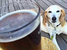 You can take your pets to many parks, restaurants, and shops around the city. Dog Friendly Restaurants In Asheville Nc Us Dog Friends Dogs Pets