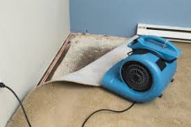 water damage cleanup regarding your