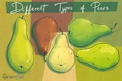What is the best tasting pear?