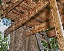 construire une cabane dans les arbres