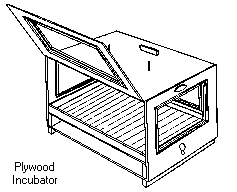 constructing a plywood incubator