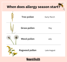 When Is Allergy Season 2019 Seasonal Allergy Calendar