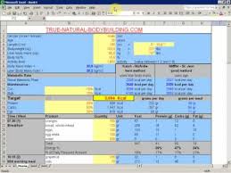 Looking for bodybuilding diet template how to develop a workout template? How To Make A Diet Plan With Excel Demo Video Part 2 Youtube