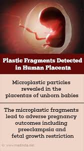 plastic pollution enters human placenta