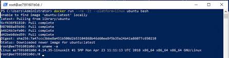 linux containers on windows server 2019