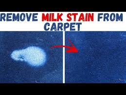 how to get milk out of carpet with no