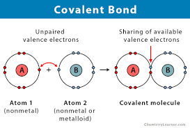 covalent bond definition types and