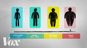 What Bmi Doesnt Tell You About Your Health