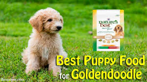 Best Puppy Food For Goldendoodle Top 5 Reviews