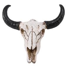 resin longhorn cow skull head wall