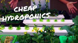 diy hydroponics and easy you