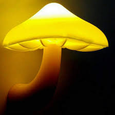 Mushroom Night Light 5 Off Led Outdoor Mushroom Lamps Elleperi