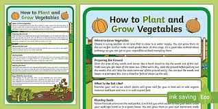 Plant And Grow Vegetables Fact Sheet