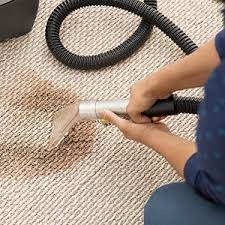 top 10 best carpet cleaning in oakville