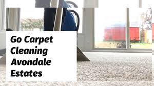 go carpet cleaning is offering natural