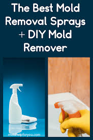 the best mold removal spray diy mold