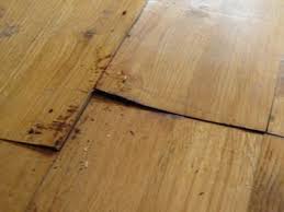 Expert Wood Floor Water Damage Repair