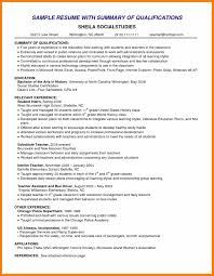 7 Resume Summary Samples Activo Holidays