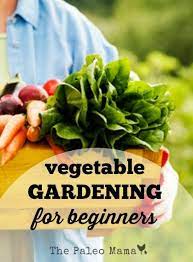 Top 10 Gardening For Beginners Ideas