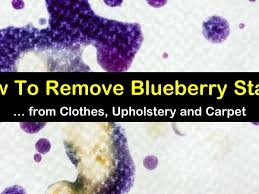 3 reliable ways to remove blueberry stains