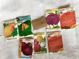 You can sort mature seeds, loosen the hard protective layer through various methods, try out new chemical germination boosters. All Things Gardening Forum I M Trying To Grow Seeds 50 Years Old Garden Org