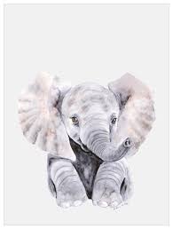 Sweet Baby Elephant Portrait Jungle