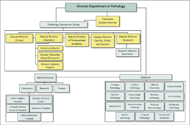 The Jhp Organizational Structure 25 Years After